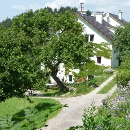 Haus Sanitas Berg bei Rohrbach