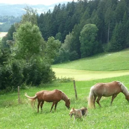 Apartman Haus Sanitas Berg bei Rohrbach