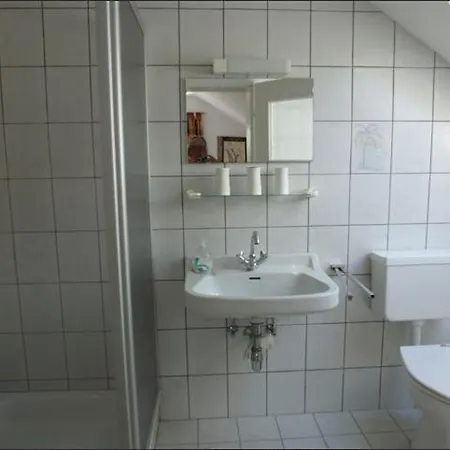 Haus Sanitas Daire Berg bei Rohrbach